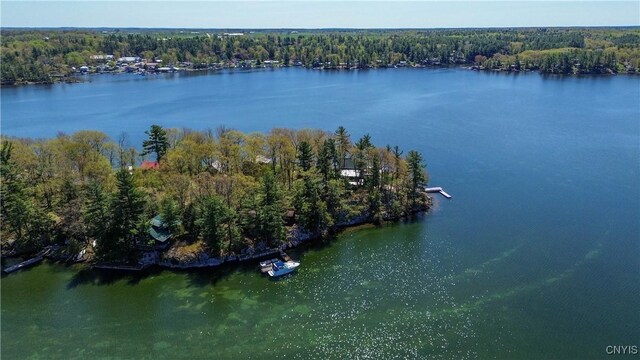 2 Mink, Hammond, NY 13646 - photo 43