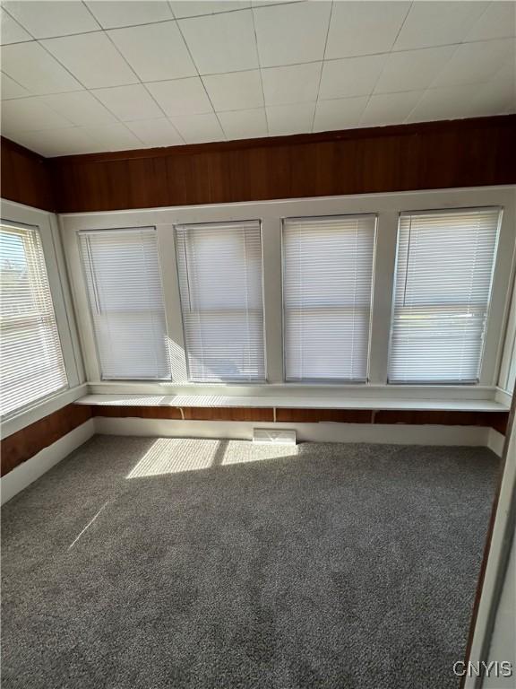 unfurnished room with carpet