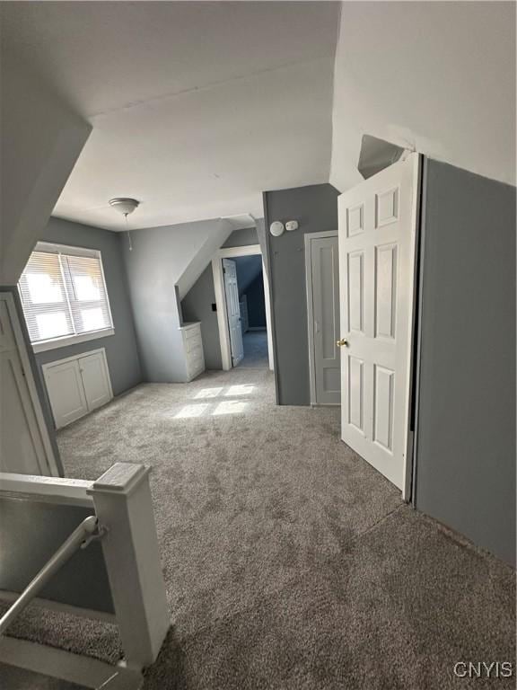 bonus room with carpet