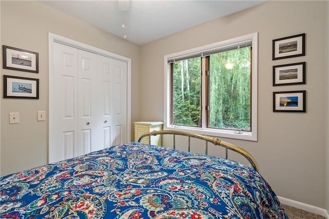 bedroom featuring carpet floors, baseboards, and a closet