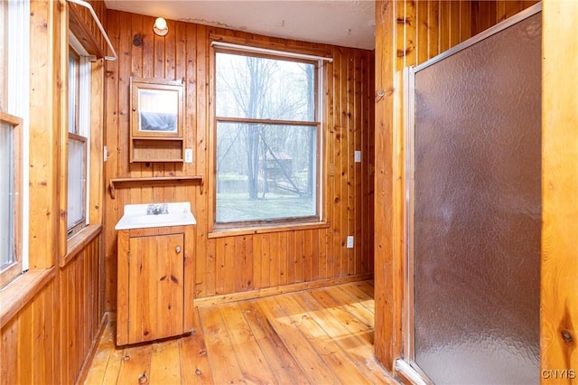 interior space featuring light wood finished floors, wood walls, and a sink