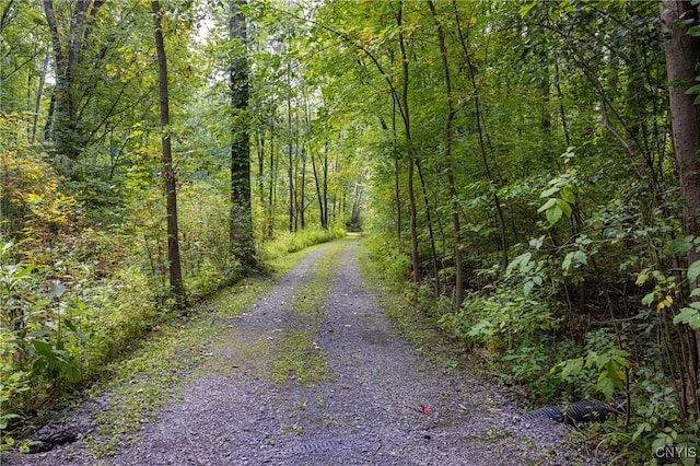 view of dirt / gravel road with a wooded view