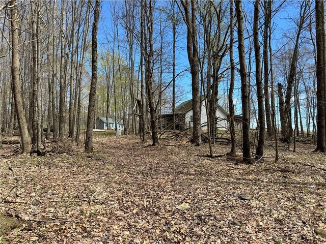 575 Harper Rd, Harpersfield, NY 13786 - view of yard