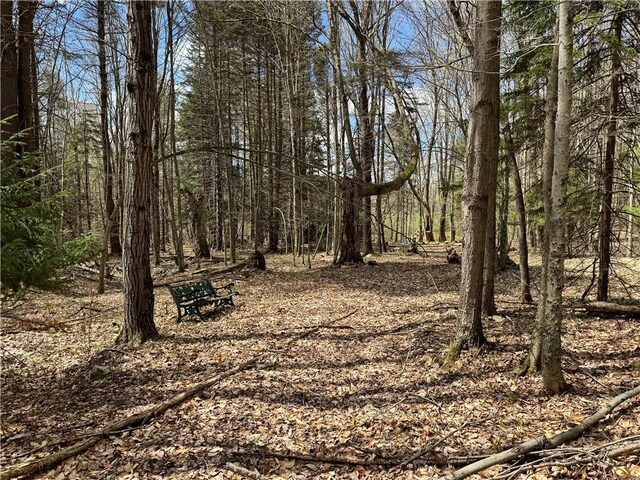 575 Harper Rd, Harpersfield, NY 13786 - view of nature