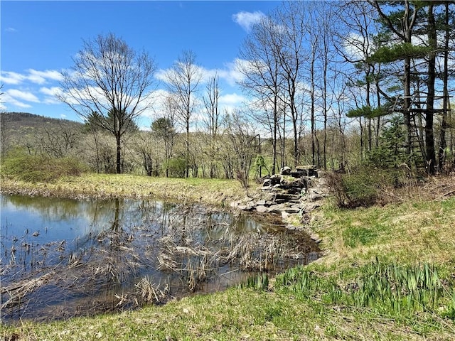 575 Harper Rd, Harpersfield, NY 13786 - water view
