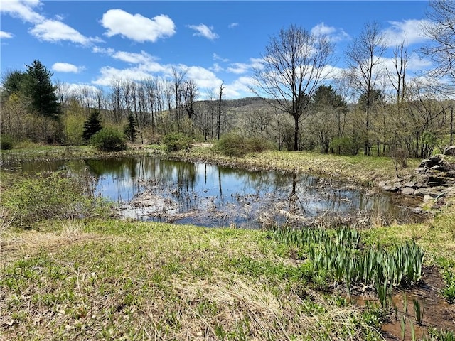 575 Harper Rd, Harpersfield, NY 13786 - water view