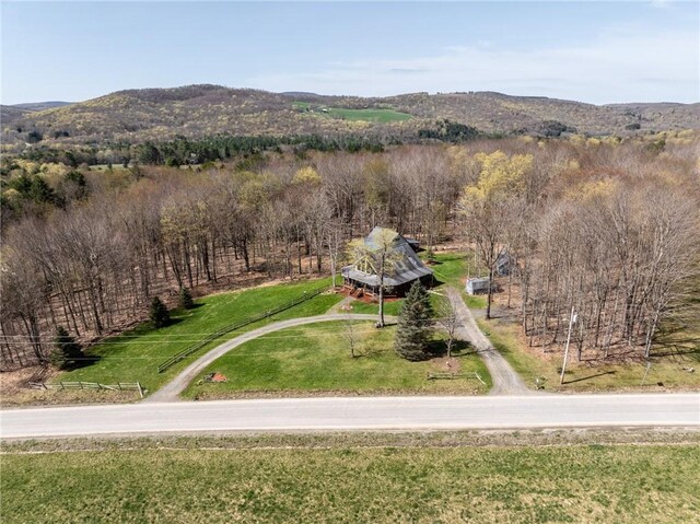 575 Harper Rd, Harpersfield, NY 13786 - bird's eye view of mountains