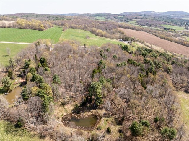 575 Harper Rd, Harpersfield, NY 13786 - bird's eye view of a mountain backdrop