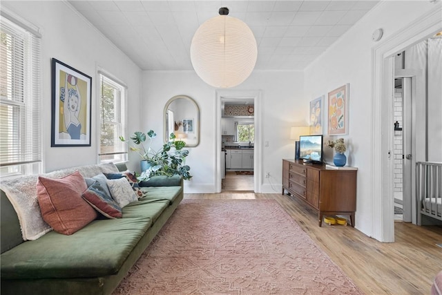sitting room featuring wood finished floors