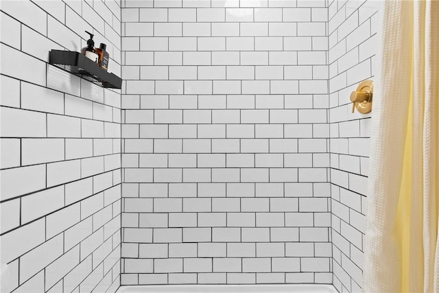 full bathroom with a stall shower