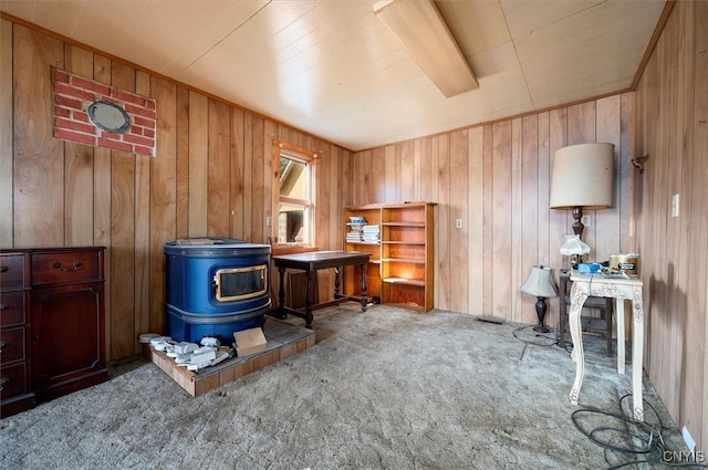 7709 State Highway 28, Exeter, NY 13439 - miscellaneous room with carpet, wooden walls, and a wood stove