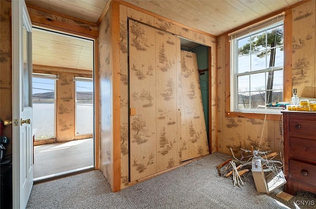 7709 State Highway 28, Exeter, NY 13439 - miscellaneous room featuring carpet and wood ceiling