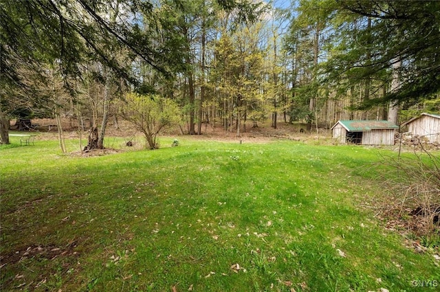7709 State Highway 28, Exeter, NY 13439 - view of green lawn featuring an outdoor structure and a shed
