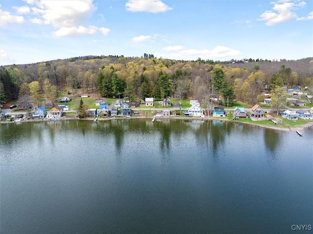 7709 State Highway 28, Exeter, NY 13439 - water view featuring a heavily wooded area and nearby suburban area