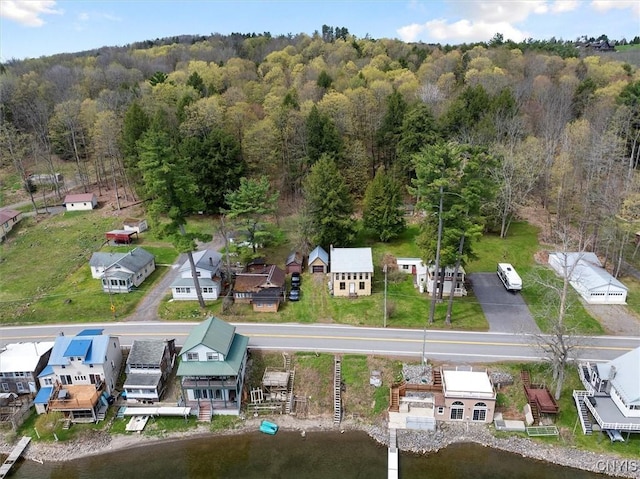 7709 State Highway 28, Exeter, NY 13439 - aerial view of residential area featuring a forest and a nearby body of water