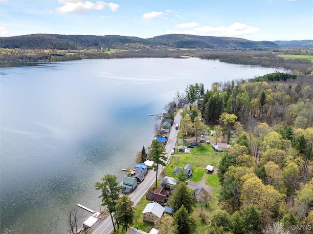 7709 State Highway 28, Exeter, NY 13439 - aerial view of property's location with a water and mountain view and a heavily wooded area