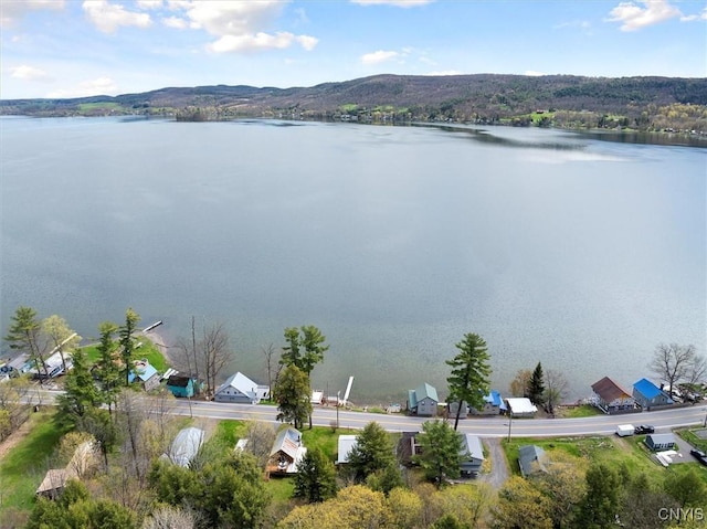 7709 State Highway 28, Exeter, NY 13439 - drone / aerial view of a nearby body of water