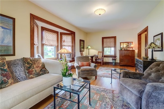 living area featuring wood finished floors