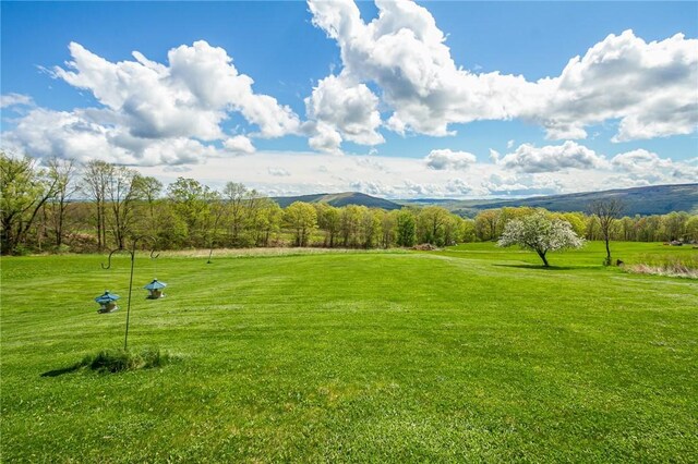 view of property's community featuring a yard