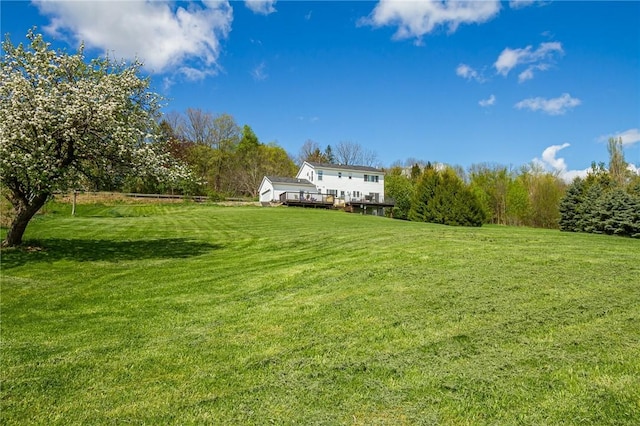 view of green lawn