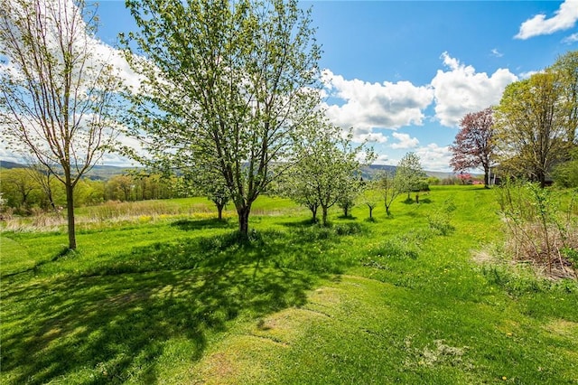 view of yard with a rural view