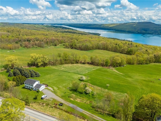 aerial view of a nearby body of water and a forest