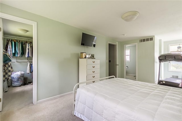bedroom featuring carpet, baseboards, a closet, and a spacious closet