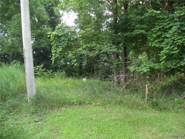 S Terry Rd, Geddes, NY 13219