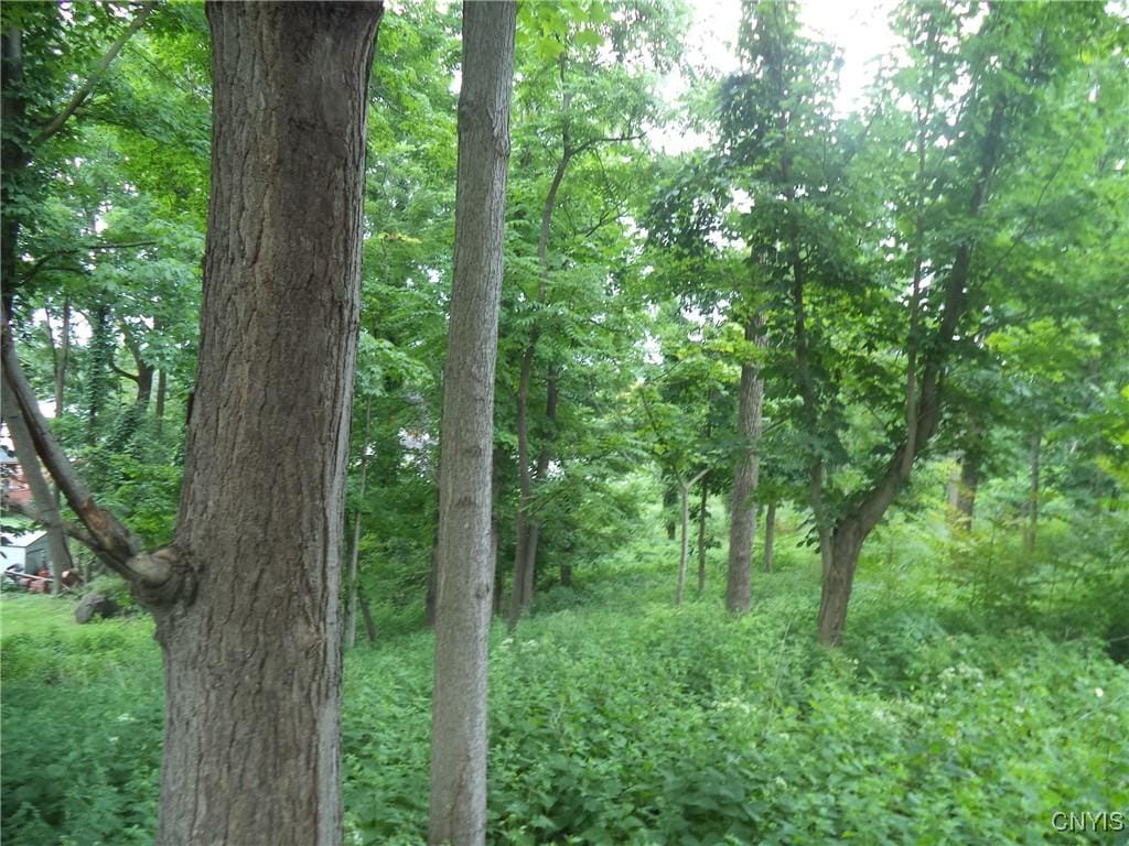 S Terry Rd, Geddes, NY 13219