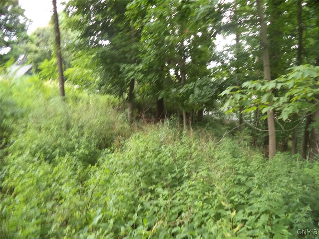 S Terry Rd, Geddes, NY 13219