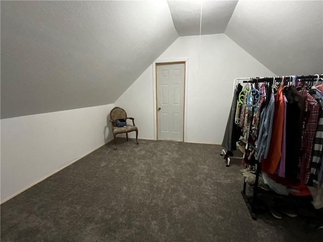 1940 State Highway 41, Coventry, NY 13733 - additional living space with lofted ceiling and carpet floors