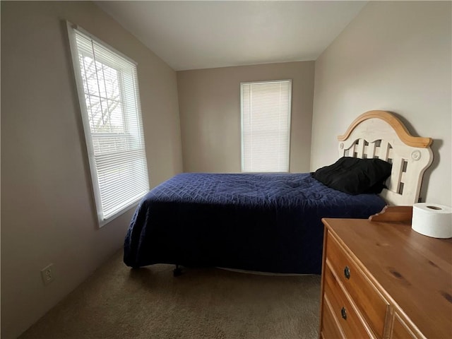 1940 State Highway 41, Coventry, NY 13733 - bedroom with carpet flooring