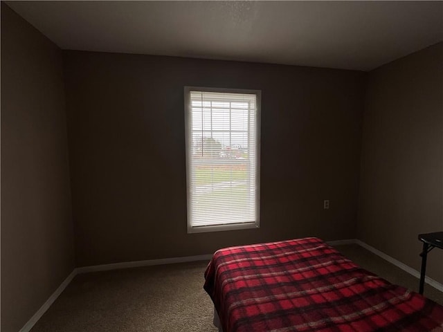 1940 State Highway 41, Coventry, NY 13733 - carpeted bedroom featuring baseboards
