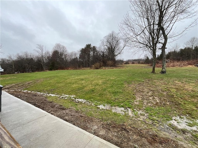 1940 State Highway 41, Coventry, NY 13733 - view of grassy yard