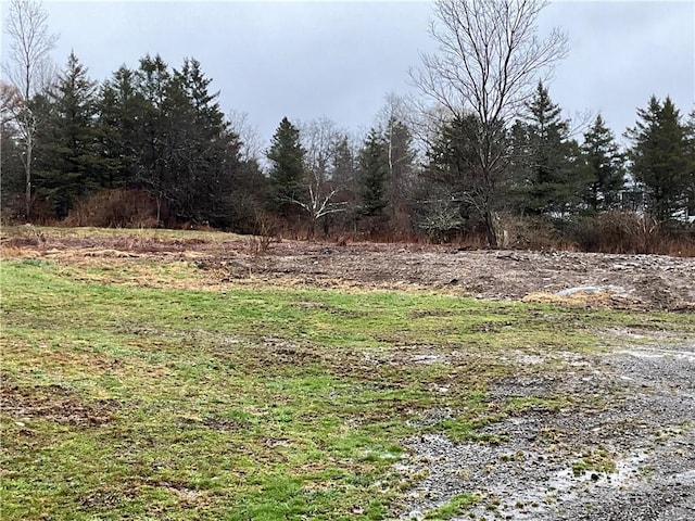 1940 State Highway 41, Coventry, NY 13733 - view of nature