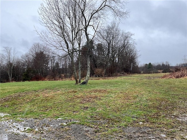 1940 State Highway 41, Coventry, NY 13733 - view of grassy yard