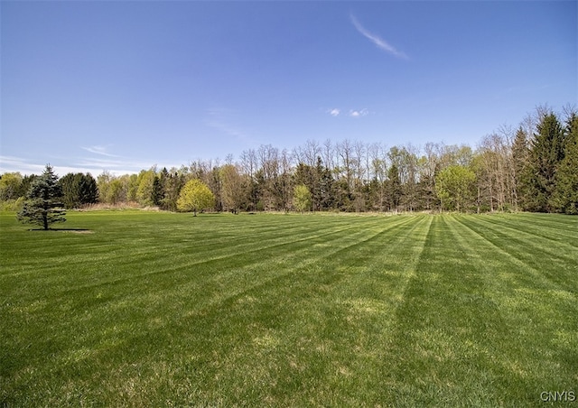 100 Brandywine Dr, Manlius, NY 13104 - view of grassy yard