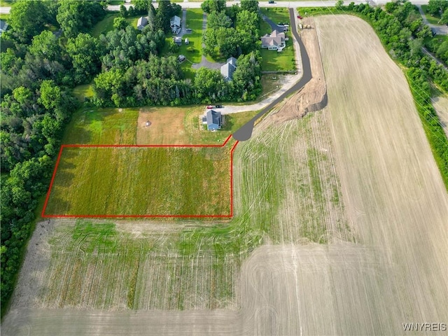 1200 Rice Rd, Elma, NY 14059 - photo 19