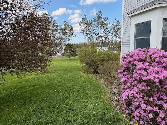 8 Hawkes Trl, Penfield, NY 14580 - view of green lawn