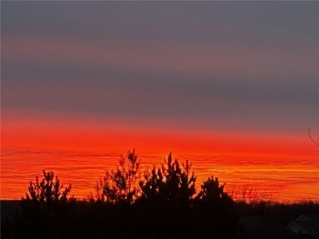 8 Hawkes Trl, Penfield, NY 14580 - view of nature at dusk
