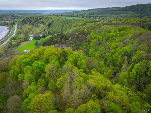 3883 State Route 28, Herkimer, NY 13350