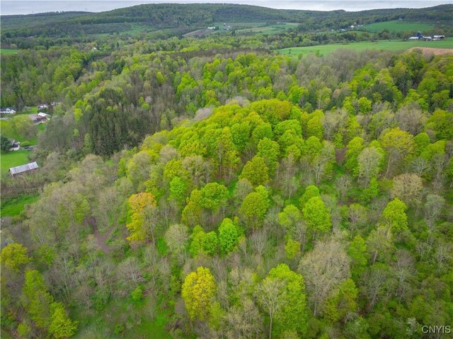 3883 State Route 28, Herkimer, NY 13350