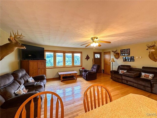 1168 Giles Rd, Brookfield, NY 13485 - photo 11