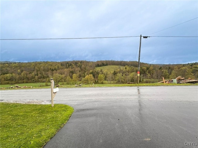 1168 Giles Rd, Brookfield, NY 13485 - photo 49