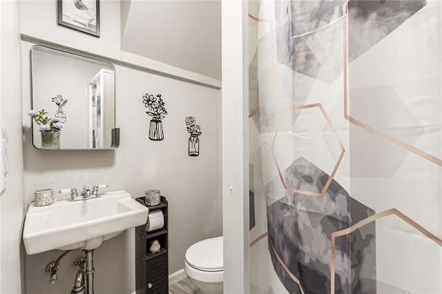 bathroom with toilet, curtained shower, and a sink