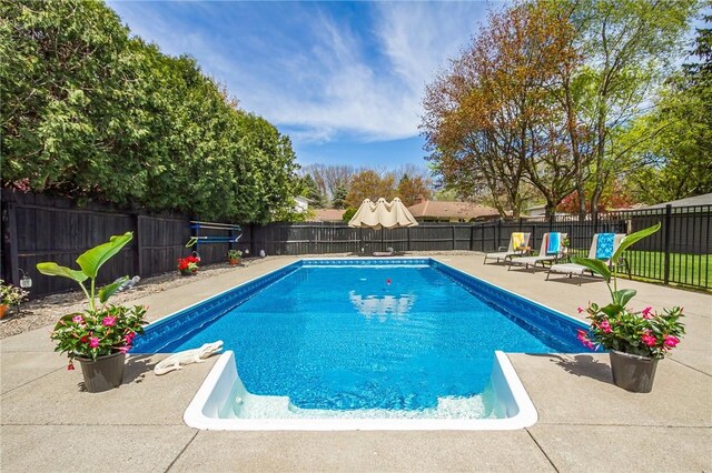 view of pool with a fenced backyard and a patio