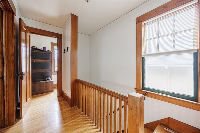 45 Juniper St, Rochester, NY 14610 - hall featuring light wood-style floors and a wainscoted wall