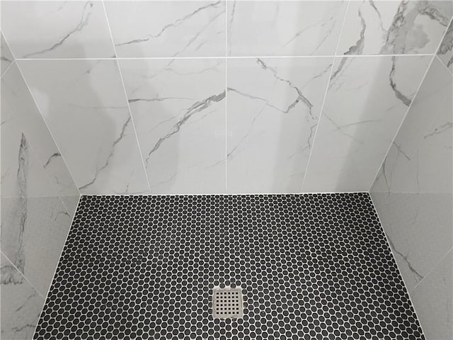 bathroom view of a tile shower