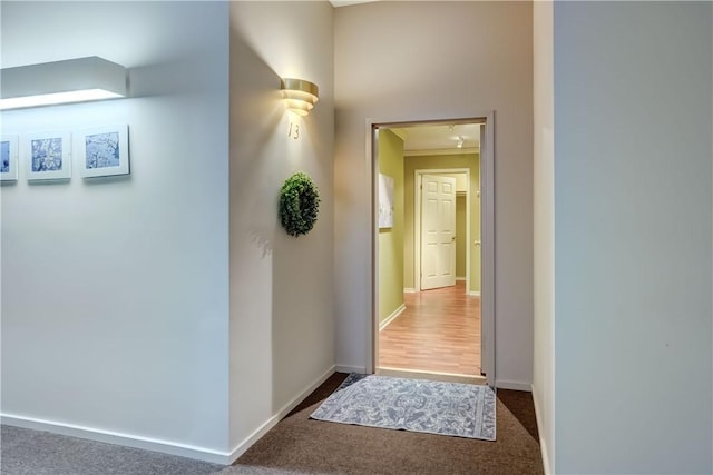 hall featuring baseboards and carpet