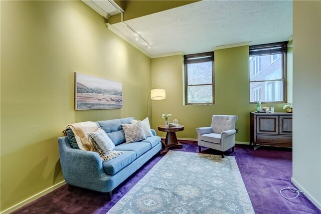 living area with baseboards, ornamental molding, track lighting, and carpet flooring